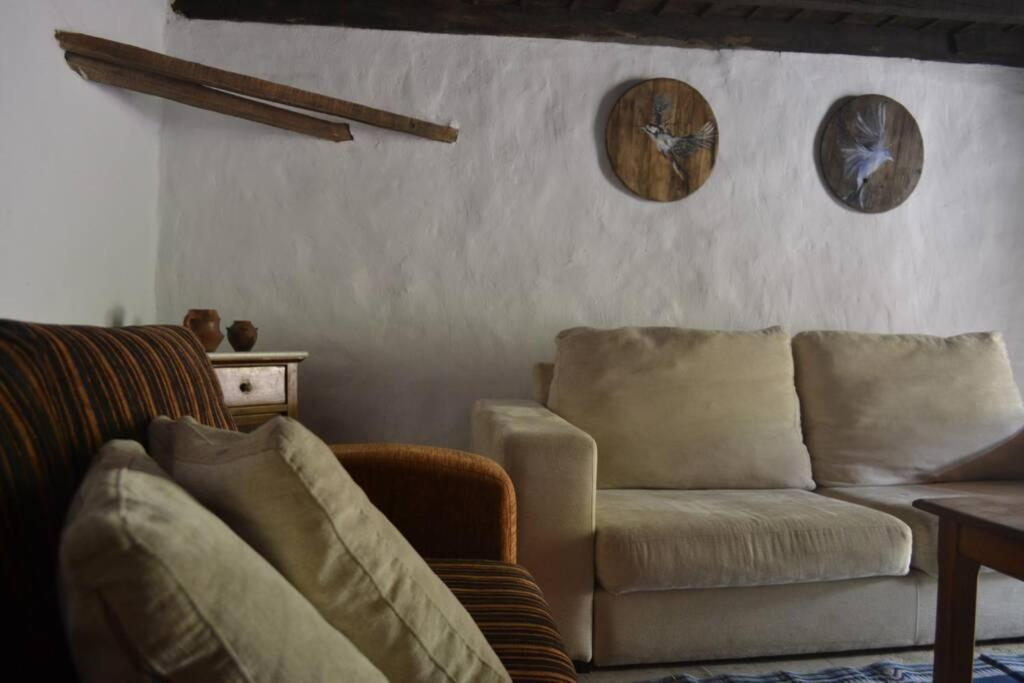 Casa Rural Lomito Del Pino Tejeda  Zewnętrze zdjęcie
