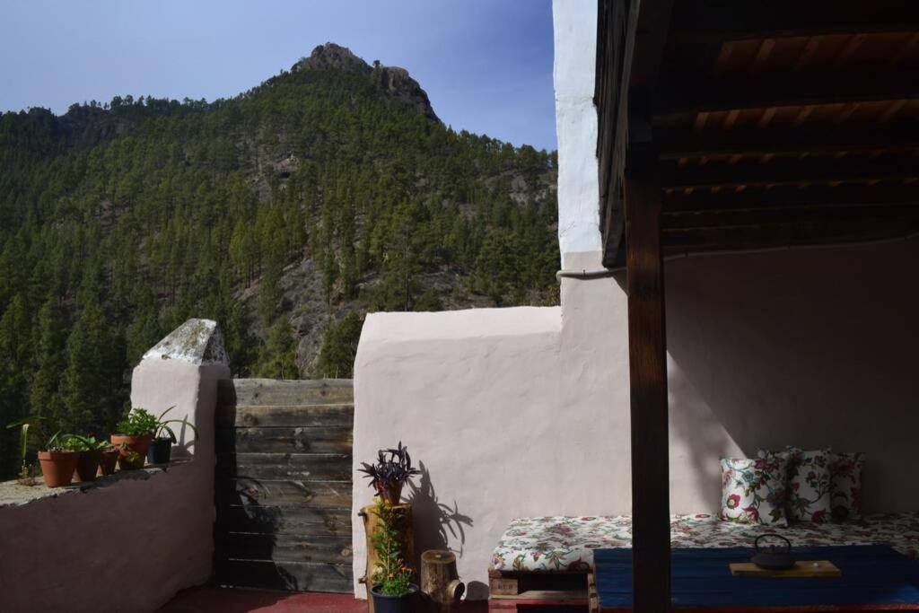 Casa Rural Lomito Del Pino Tejeda  Zewnętrze zdjęcie