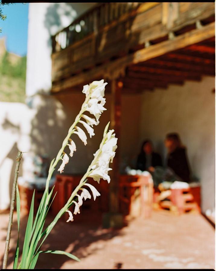 Casa Rural Lomito Del Pino Tejeda  Zewnętrze zdjęcie