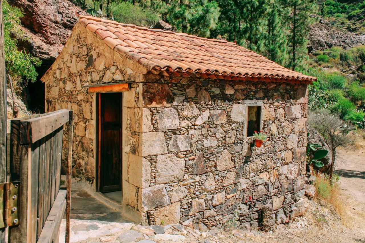Casa Rural Lomito Del Pino Tejeda  Zewnętrze zdjęcie
